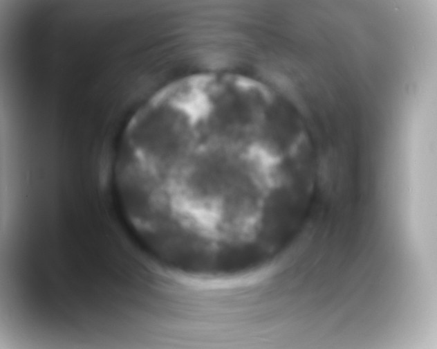 X0000088130018200706041327