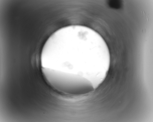 X0000088130019200706041327