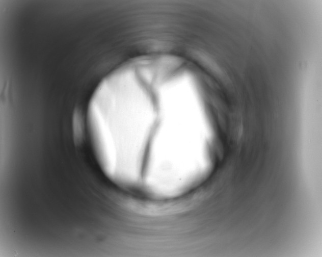 X0000088130022200706041327