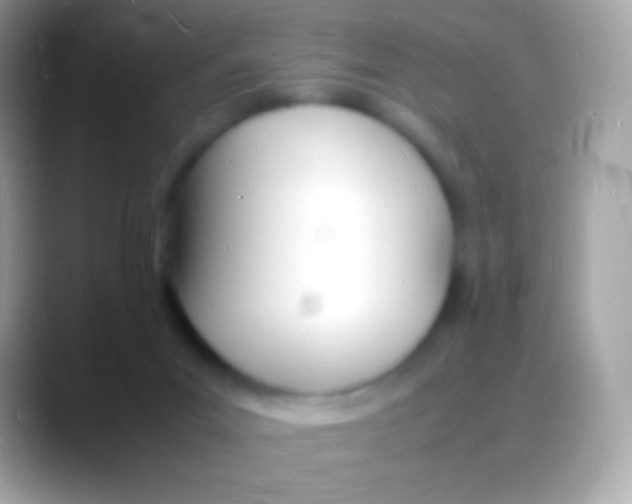 X0000088130023200706041327