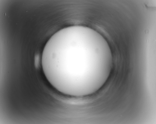 X0000088130024200706041327