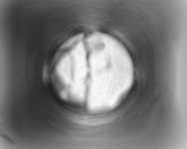 X0000088130026200706041327