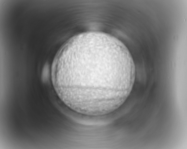 X0000088130028200706041327