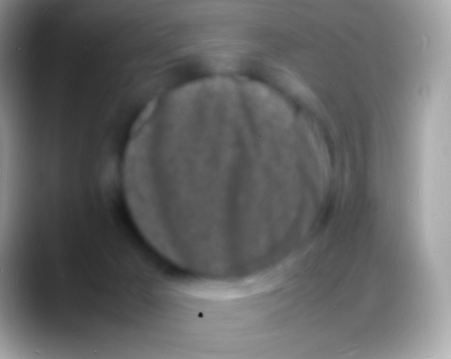 X0000088130029200706041327