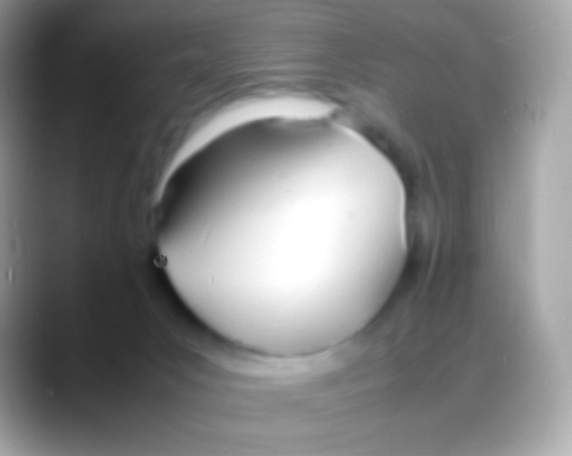 X0000088130031200706041327