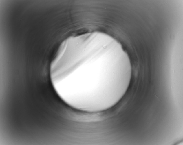 X0000088130032200706041327