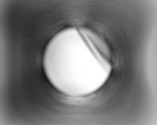 X0000088130034200706041327