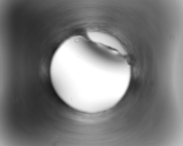 X0000088130035200706041327