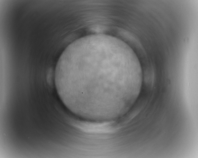 X0000088130036200706041327