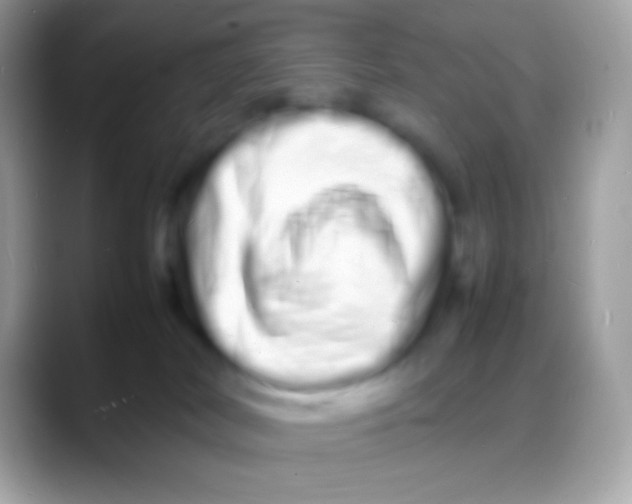 X0000088130038200706041327