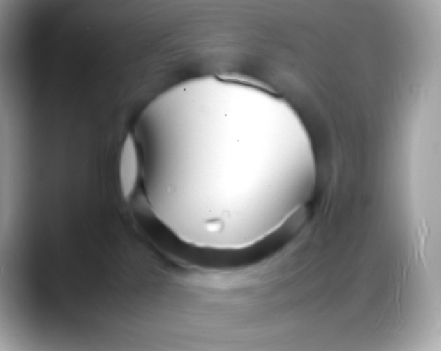 X0000088130041200706041327