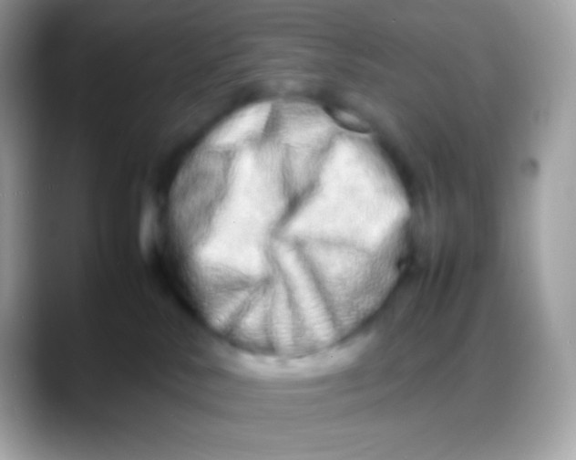 X0000088130042200706041327