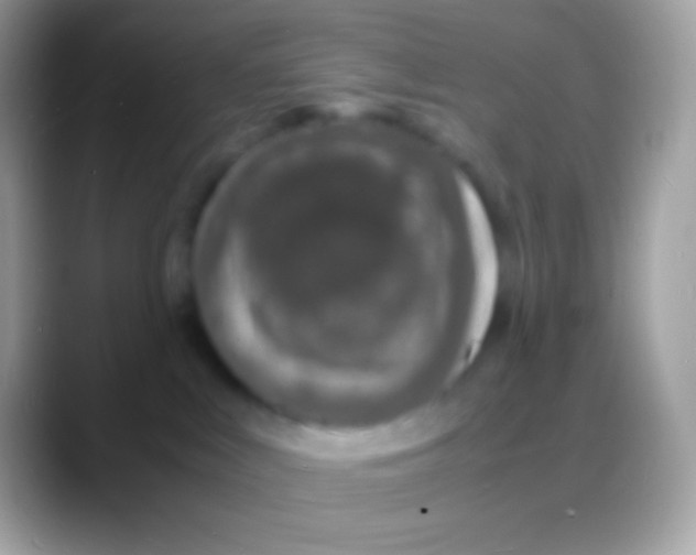 X0000088130043200706041327