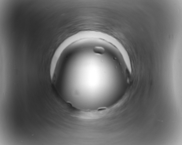 X0000088130045200706041327