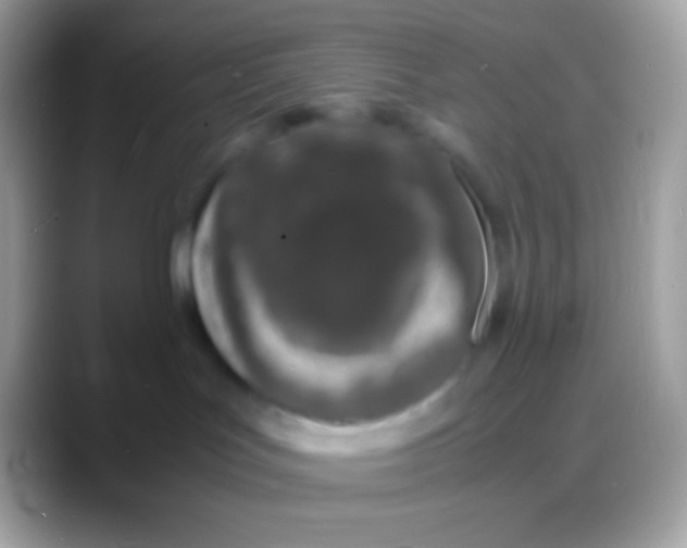 X0000088130047200706041327