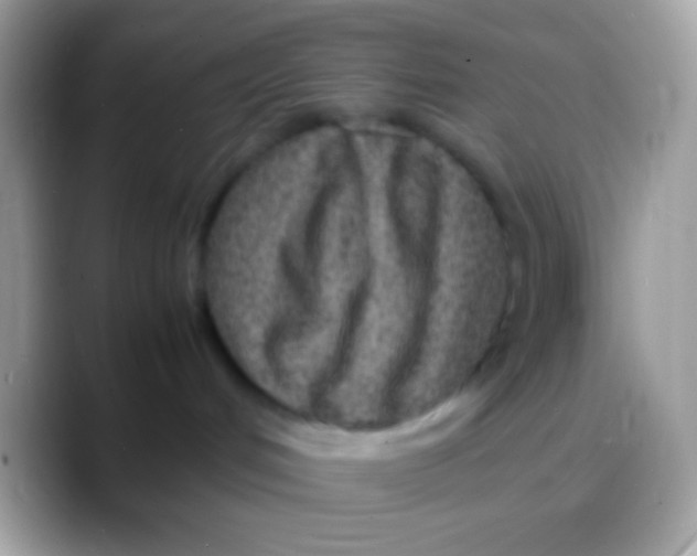 X0000088130048200706041327