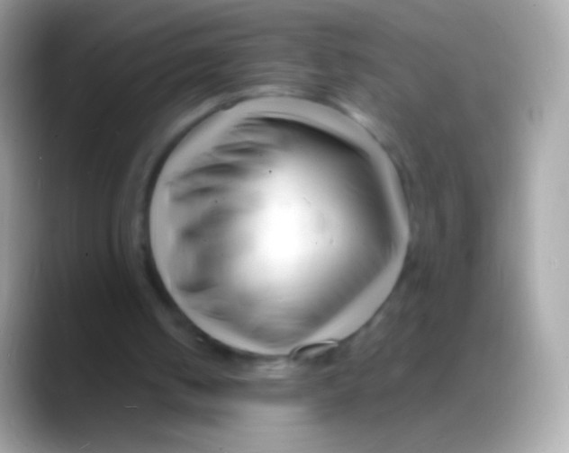 X0000088130050200706041326