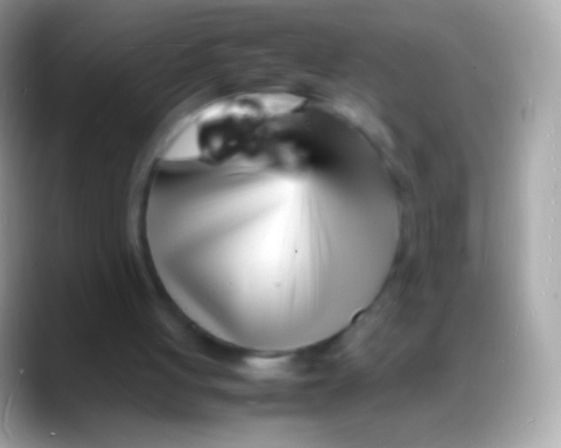 X0000088130051200706041326