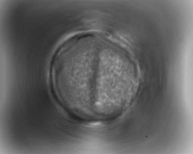 X0000088130054200706041326