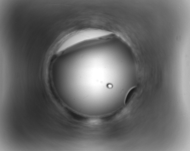 X0000088130055200706041326