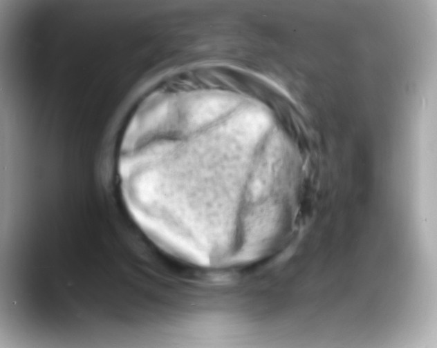 X0000088130056200706041326