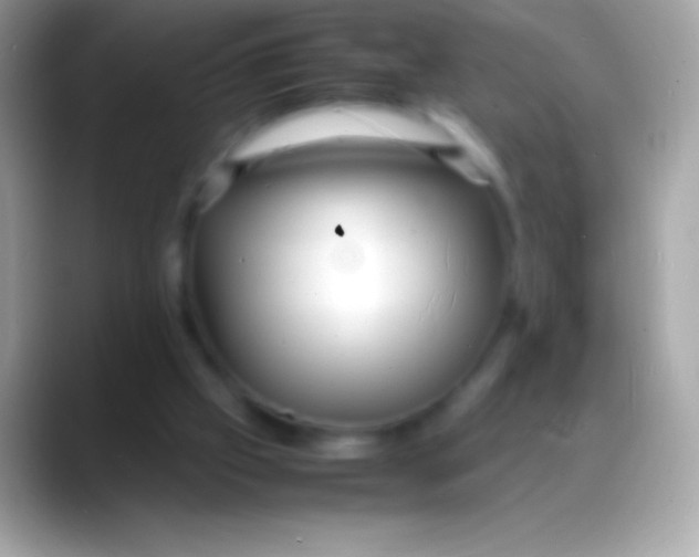 X0000088130057200706041326