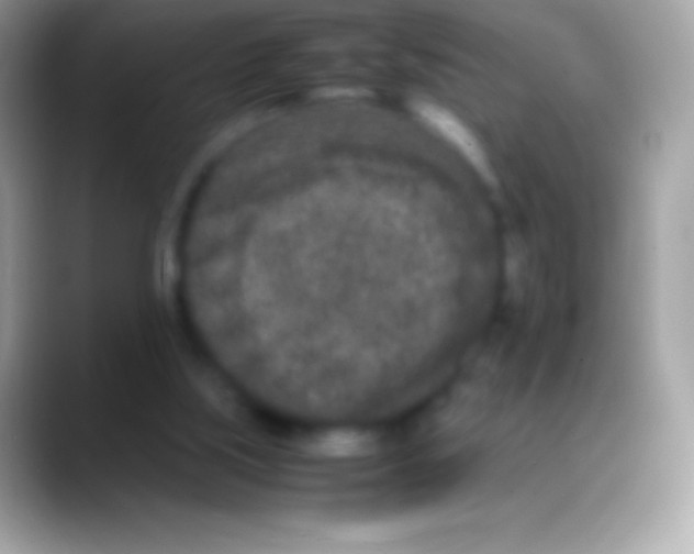 X0000088130059200706041326