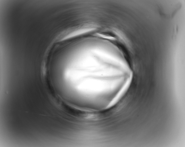 X0000088130060200706041326