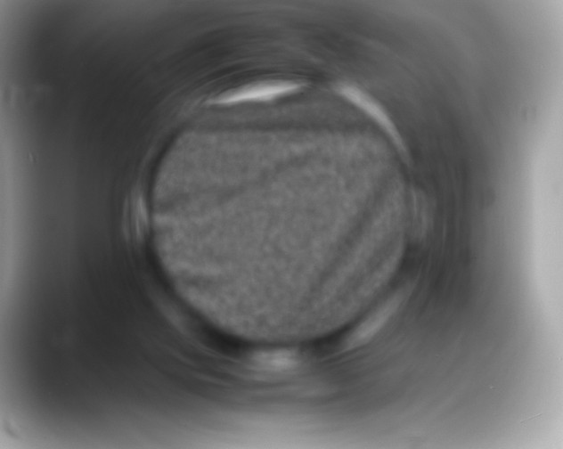 X0000088130061200706041326