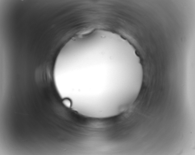 X0000088130062200706041326