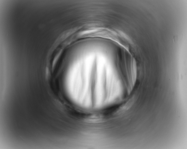 X0000088130064200706041326