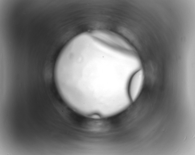 X0000088130065200706041326