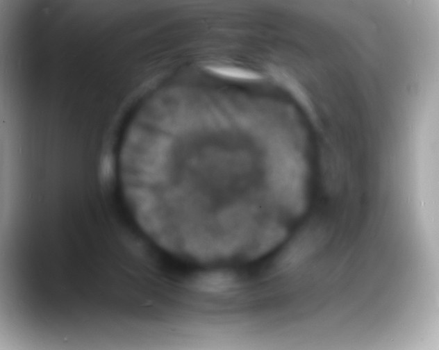 X0000088130067200706041326