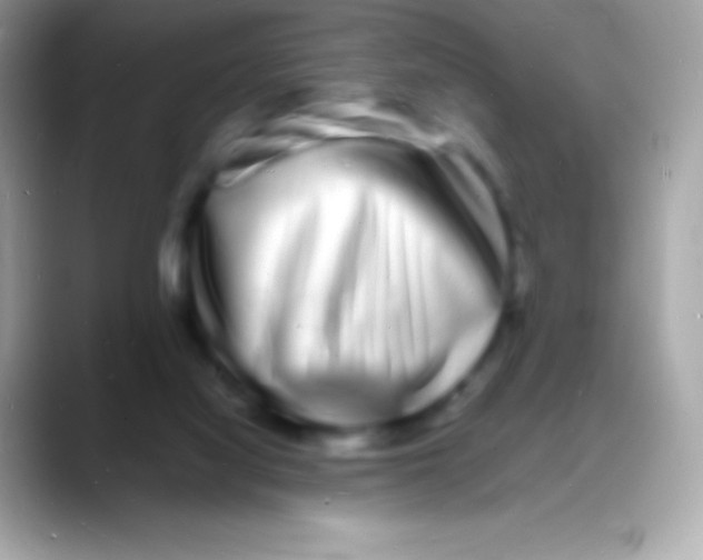 X0000088130068200706041326