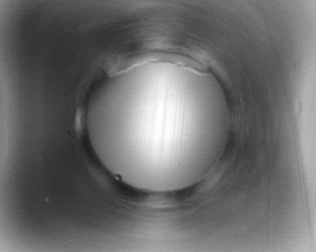 X0000088130070200706041326