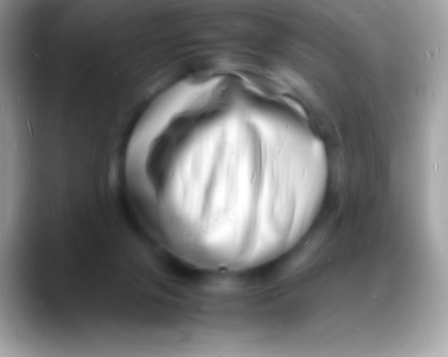 X0000088130071200706041326