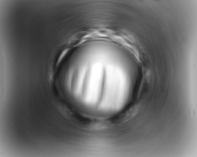 X0000088130072200706041326