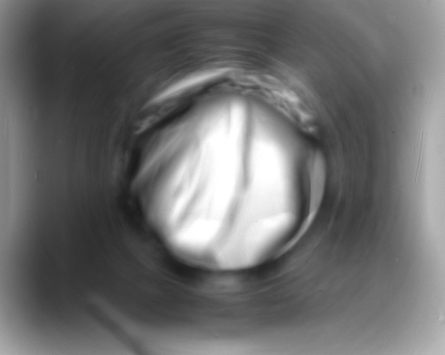 X0000088130073200706041326