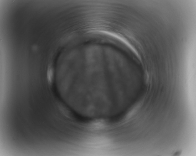 X0000088130076200706041326