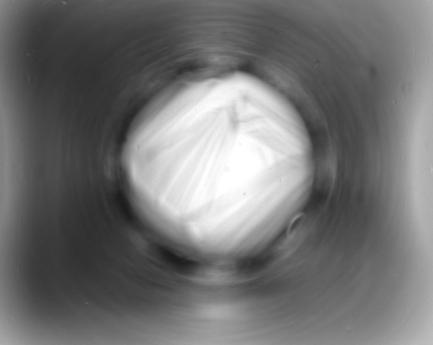 X0000088130078200706041327