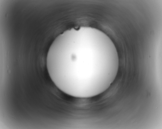 X0000088130081200706041327