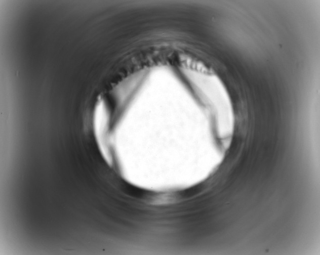 X0000088130093200706041327