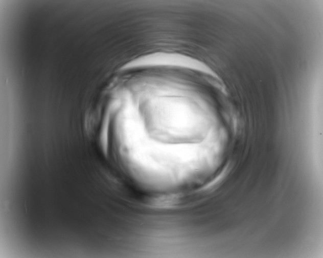 X0000088130094200706041327