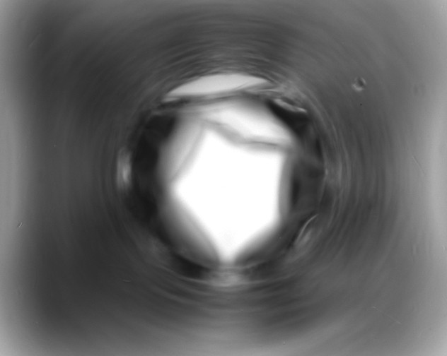 X0000088130095200706041327