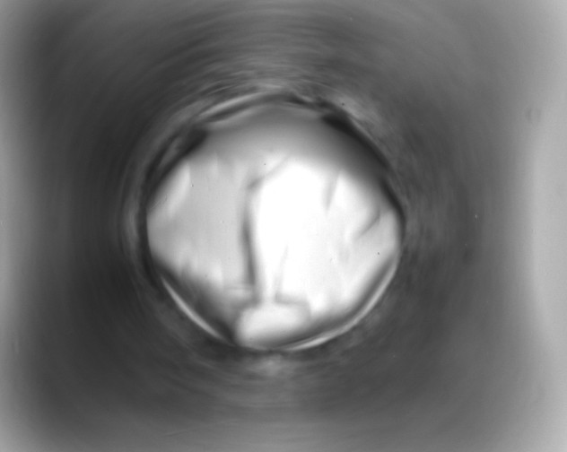 X0000088130098200706041326