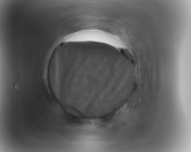 X0000088130099200706041326