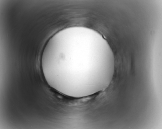 X0000088130100200706041326