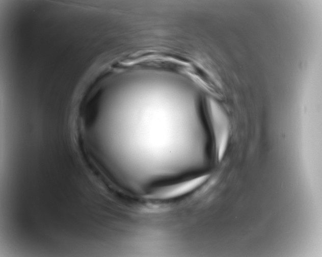 X0000088130101200706041326