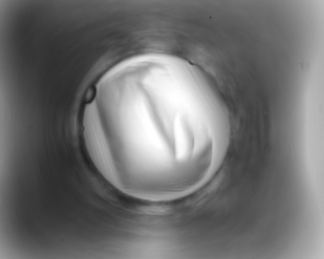 X0000088130102200706041326