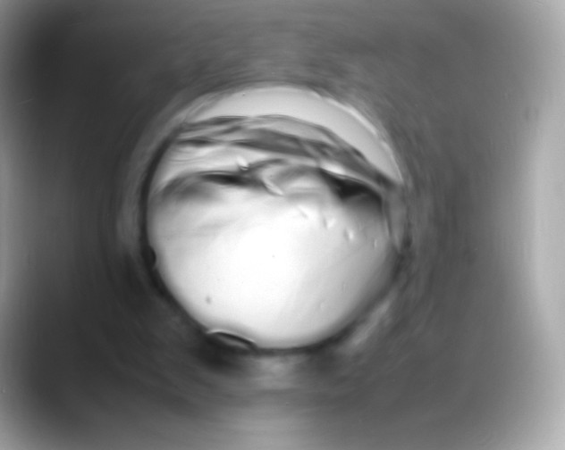 X0000088130103200706041326